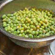 ヒメ日記 2025/06/11 02:51 投稿 ももえ 奥様の実話 谷九店