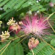 ヒメ日記 2025/06/18 09:44 投稿 ももえ 奥様の実話 谷九店