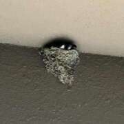 ヒメ日記 2025/06/25 08:26 投稿 ももえ 奥様の実話 谷九店