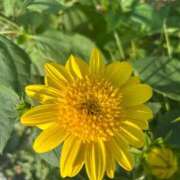 ヒメ日記 2025/07/06 17:09 投稿 ももえ 奥様の実話 谷九店