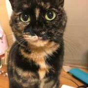 ヒメ日記 2025/08/10 09:01 投稿 ももえ 奥様の実話 谷九店