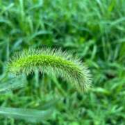 ヒメ日記 2025/08/15 11:30 投稿 ももえ 奥様の実話 谷九店