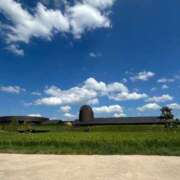 ヒメ日記 2025/09/13 18:53 投稿 ももえ 奥様の実話 谷九店