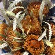 ヒメ日記 2025/11/15 17:45 投稿 ももえ 奥様の実話 谷九店