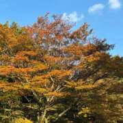 ヒメ日記 2025/11/16 15:48 投稿 ももえ 奥様の実話 谷九店