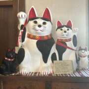 ヒメ日記 2025/12/20 15:36 投稿 ももえ 奥様の実話 谷九店