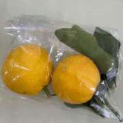 ヒメ日記 2025/12/23 16:46 投稿 ももえ 奥様の実話 谷九店