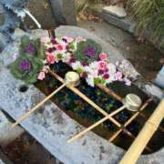 ヒメ日記 2025/12/23 18:22 投稿 ももえ 奥様の実話 谷九店