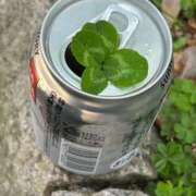 ヒメ日記 2026/02/17 18:31 投稿 ももえ 奥様の実話 谷九店