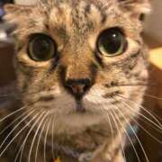 ヒメ日記 2026/02/18 16:22 投稿 ももえ 奥様の実話 谷九店