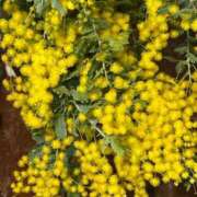 ヒメ日記 2026/03/03 14:27 投稿 ももえ 奥様の実話 谷九店