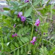 ももえ 暖かい 奥様の実話 谷九店