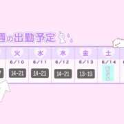 ヒメ日記 2025/06/04 15:52 投稿 なお シェリーエンジェル