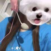 ヒメ日記 2025/02/05 00:11 投稿 莉衣/りい クラブ バレンタイン大阪