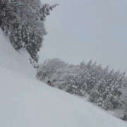 ヒメ日記 2025/03/19 02:00 投稿 莉衣/りい クラブ バレンタイン大阪