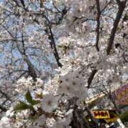 ヒメ日記 2025/04/09 15:55 投稿 莉衣/りい クラブ バレンタイン大阪