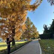 ヒメ日記 2025/11/30 08:58 投稿 こころ ワンダフル