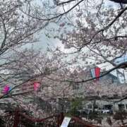 ヒメ日記 2026/03/29 01:38 投稿 こころ ワンダフル