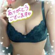 ヒメ日記 2025/02/11 16:59 投稿 せり トマトなび