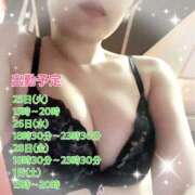 ヒメ日記 2025/02/25 00:53 投稿 せり トマトなび