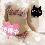 ヒメ日記 2025/02/25 15:52 投稿 せり トマトなび