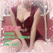 ヒメ日記 2025/02/27 23:15 投稿 せり トマトなび