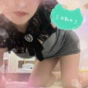 ヒメ日記 2025/03/01 14:47 投稿 せり トマトなび