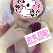 ヒメ日記 2025/03/25 10:48 投稿 せり トマトなび