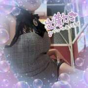 ヒメ日記 2025/03/31 18:21 投稿 せり トマトなび