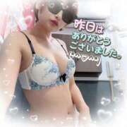 ヒメ日記 2025/04/29 16:42 投稿 せり トマトなび