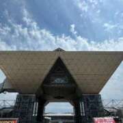 ヒメ日記 2025/05/10 14:55 投稿 せり トマトなび