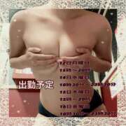 ヒメ日記 2025/05/10 17:18 投稿 せり トマトなび