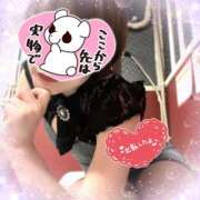 ヒメ日記 2025/05/12 15:23 投稿 せり トマトなび