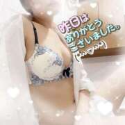 ヒメ日記 2025/05/15 19:31 投稿 せり トマトなび