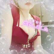 ヒメ日記 2025/06/16 15:07 投稿 せり トマトなび