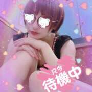 ヒメ日記 2025/06/26 20:57 投稿 せり トマトなび