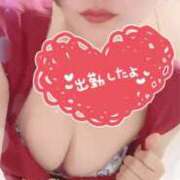 ヒメ日記 2025/06/30 18:40 投稿 せり トマトなび