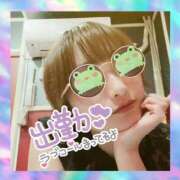 ヒメ日記 2025/07/02 14:56 投稿 せり トマトなび