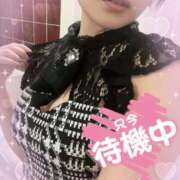 ヒメ日記 2025/07/19 17:35 投稿 せり トマトなび