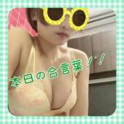 ヒメ日記 2025/07/28 18:37 投稿 せり トマトなび