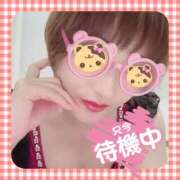 ヒメ日記 2025/08/04 15:02 投稿 せり トマトなび