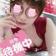 ヒメ日記 2025/09/08 20:43 投稿 せり トマトなび