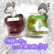 ヒメ日記 2025/09/09 22:19 投稿 せり トマトなび