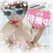 ヒメ日記 2025/10/03 19:00 投稿 せり トマトなび