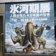 ヒメ日記 2025/10/08 17:07 投稿 せり トマトなび