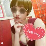 ヒメ日記 2025/10/09 18:22 投稿 せり トマトなび