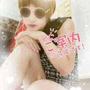 ヒメ日記 2025/10/22 18:47 投稿 せり トマトなび