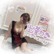 ヒメ日記 2025/10/27 18:45 投稿 せり トマトなび