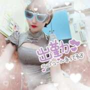 ヒメ日記 2025/11/04 17:02 投稿 せり トマトなび