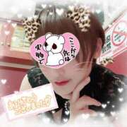 ヒメ日記 2025/11/18 20:10 投稿 せり トマトなび